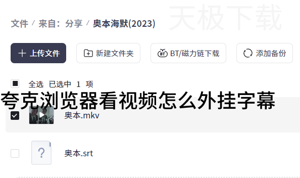 夸克浏览器看视频怎么外挂字幕_夸克浏览器看视频外挂字幕方式