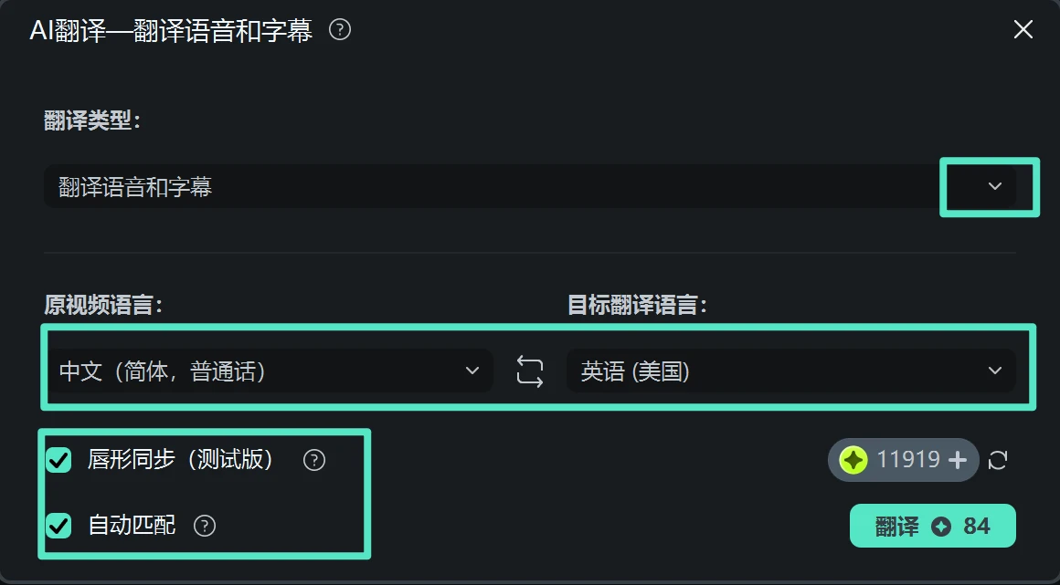 设置视频翻译参数